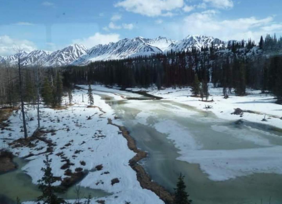 Alaska Grizzly Lodge Фэрбанкс Экстерьер фото
