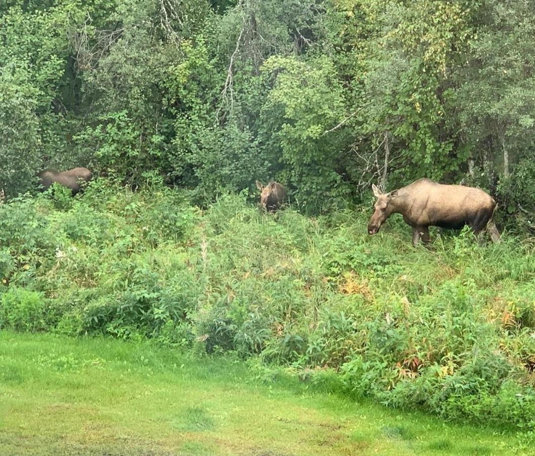 Alaska Grizzly Lodge Фэрбанкс Экстерьер фото