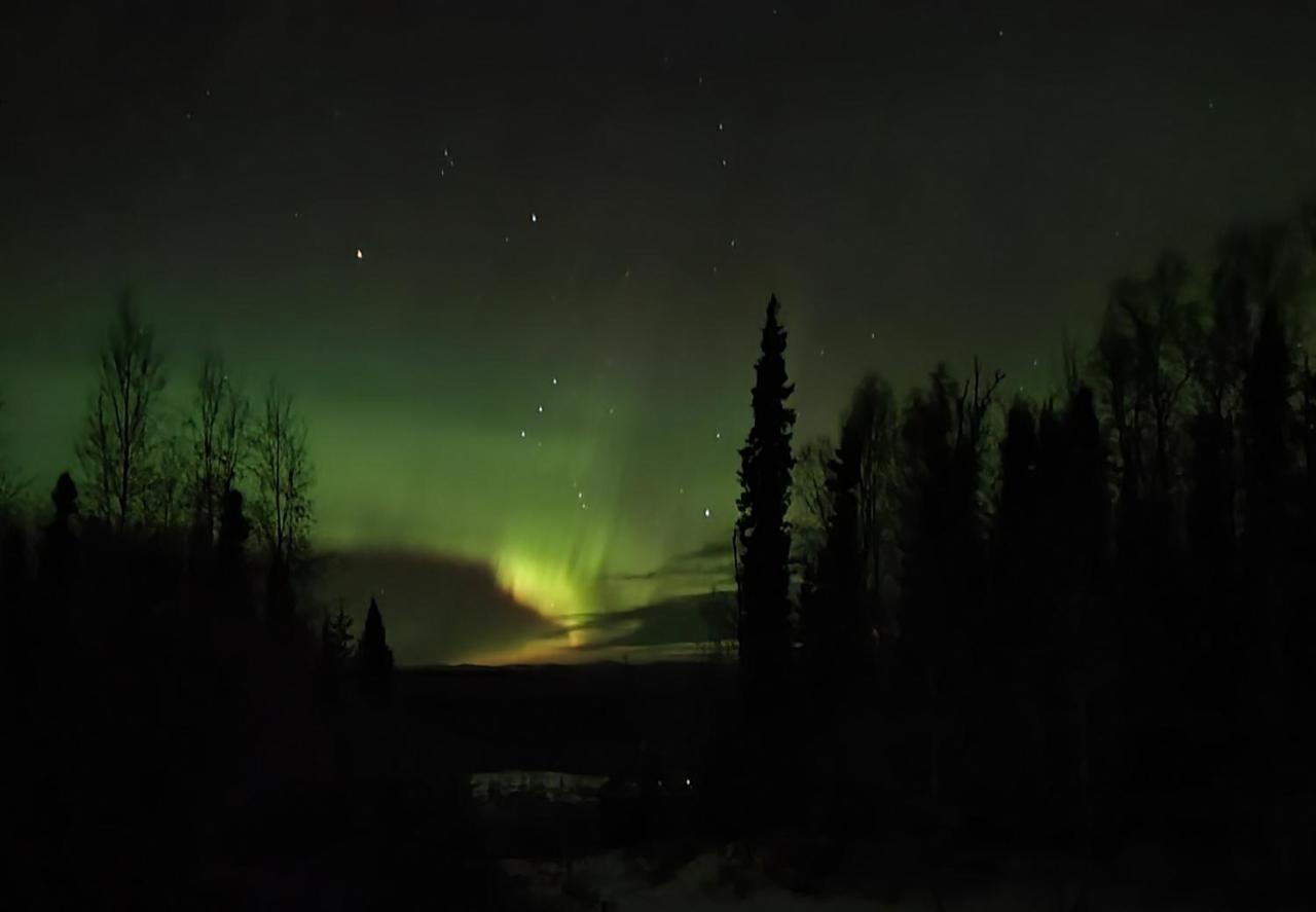 Alaska Grizzly Lodge Фэрбанкс Экстерьер фото